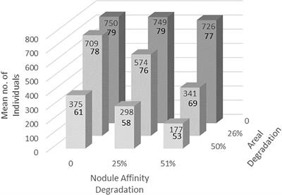 Detecting the Effects of Deep-Seabed Nodule Mining: Simulations Using Megafaunal Data From the Clarion-Clipperton Zone